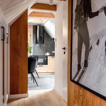 Góralskie Pod Gontem Polana Pająkówka Apartamento *